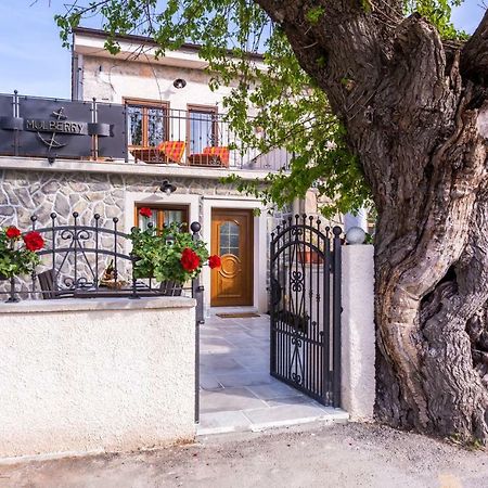 Villa Mulberry Milohnici Exteriér fotografie